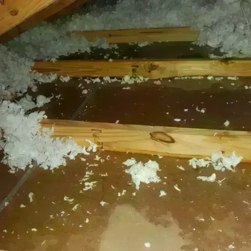 Attic Water Damage in Barranquitas, PR